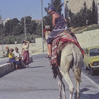 004-10 19800815 Jerusalem - Rider on Camel